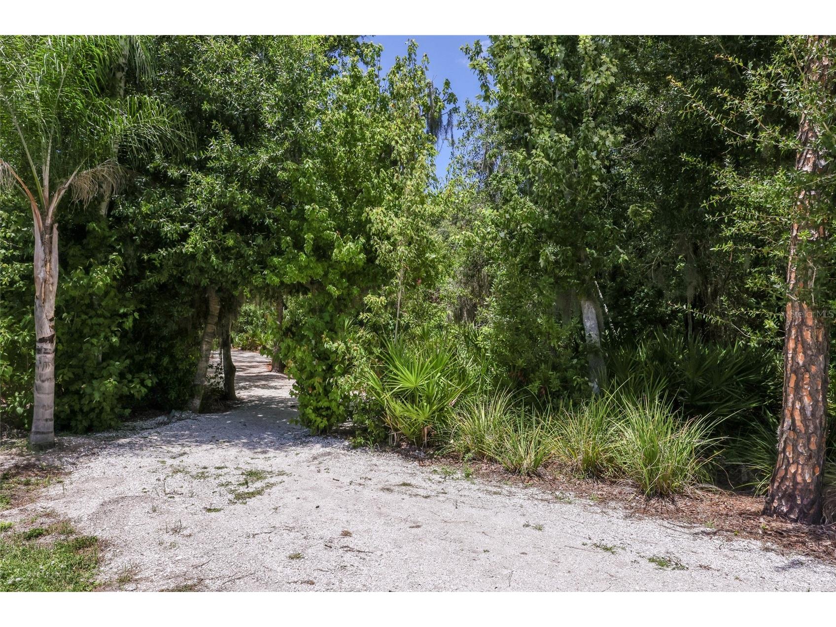 2493 Paradise Plum Drive Sarasota FL 34240 A4695696 image36
