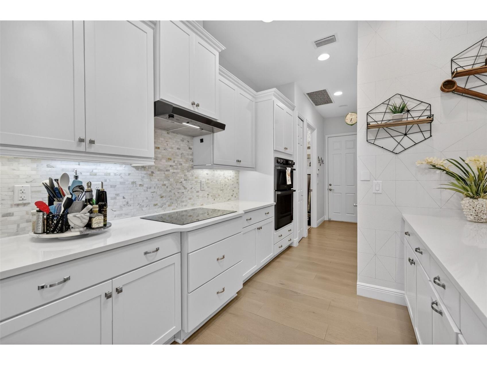 2493 Pawtucket Pass Mount Dora FL 32757 G5112376 image16