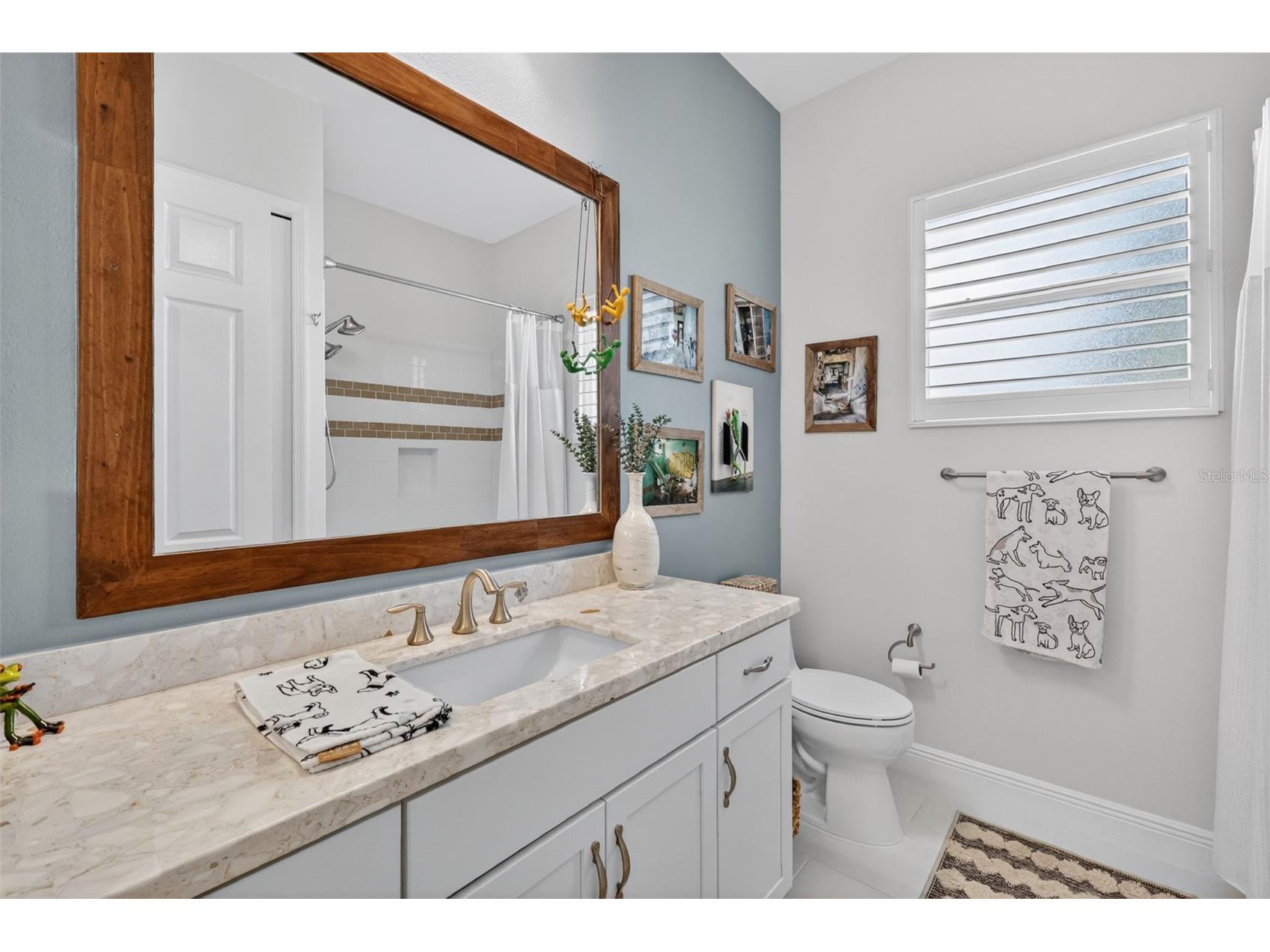 2493 Pawtucket Pass Mount Dora FL 32757 G5112376 image29