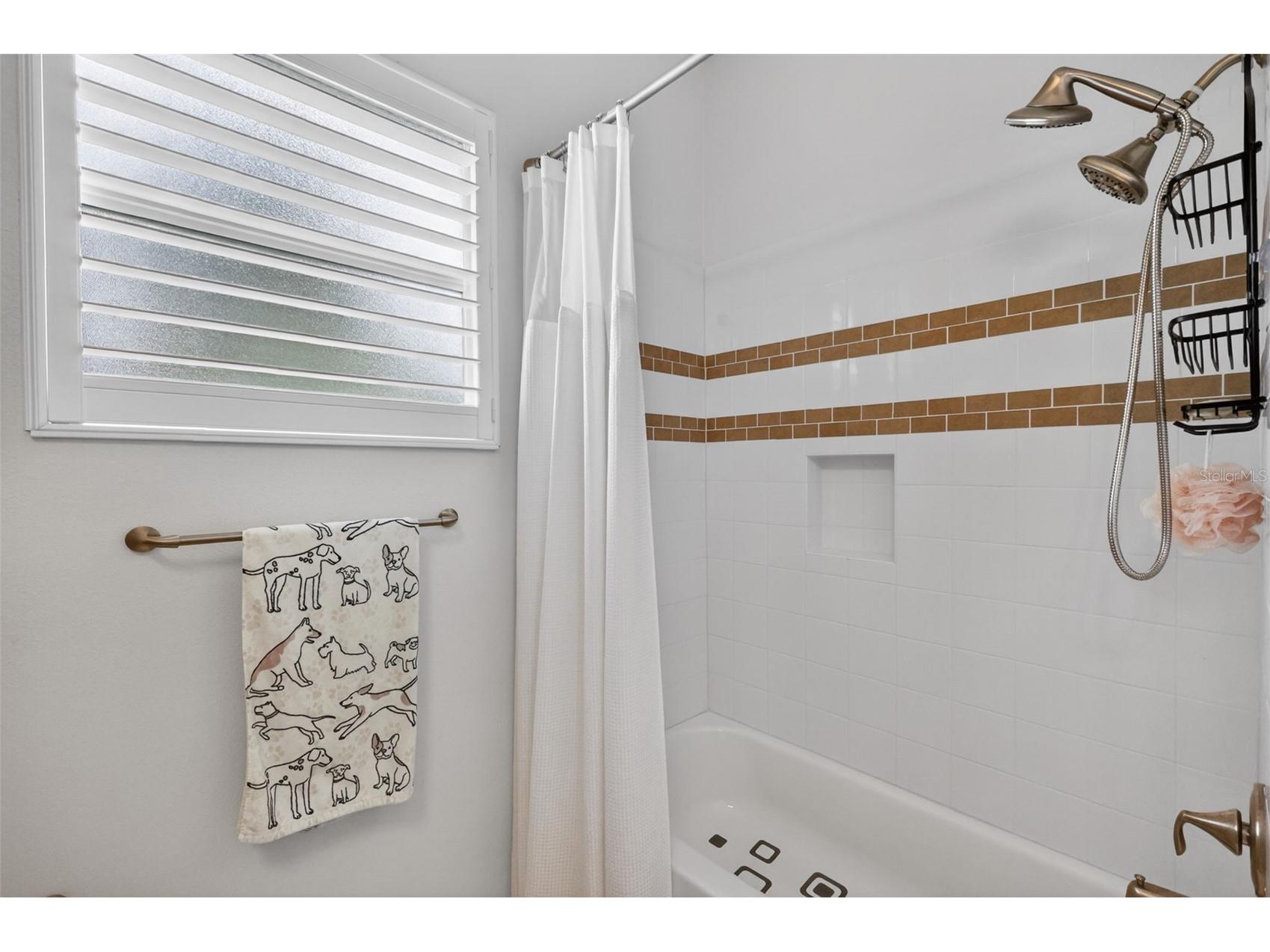 2493 Pawtucket Pass Mount Dora FL 32757 G5112376 image30