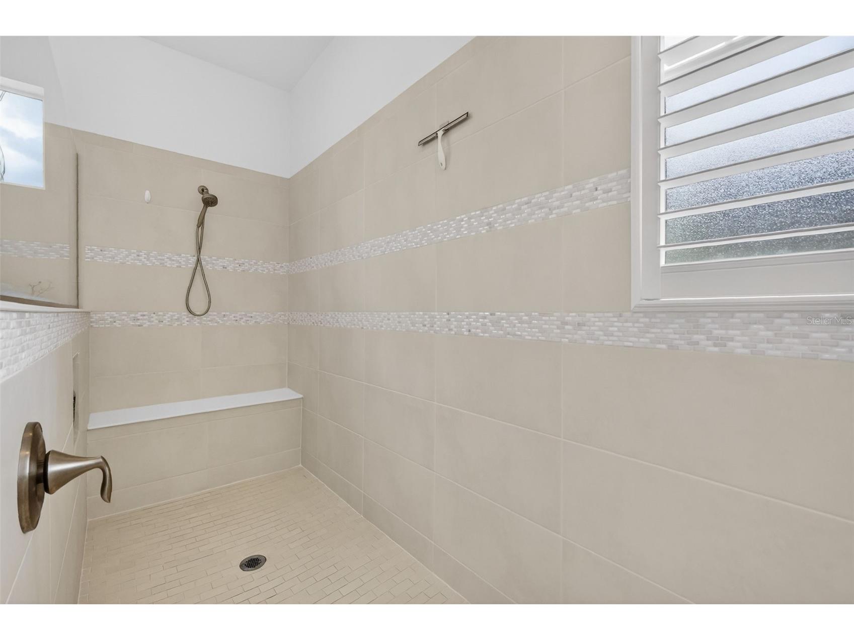 2493 Pawtucket Pass Mount Dora FL 32757 G5112376 image38