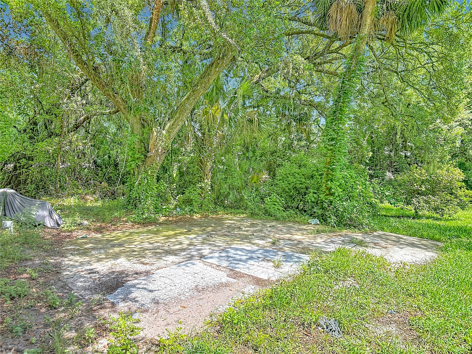 24930 Avenue C Paisley FL 32767 G5114696 image53