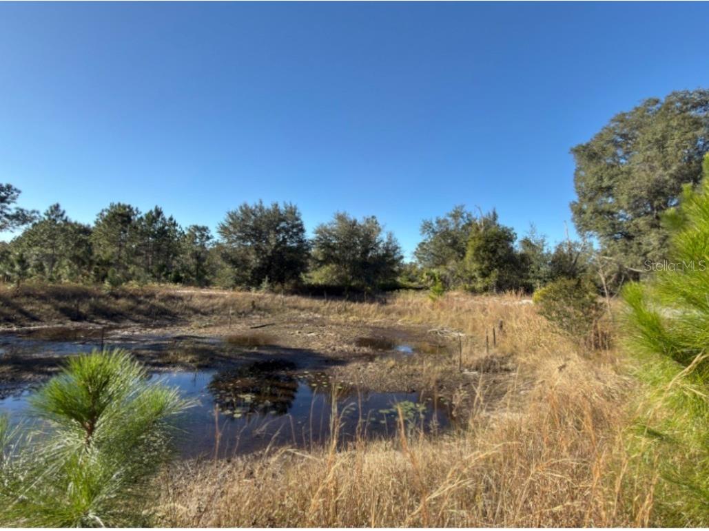 24939 County Road 33 Groveland FL 34736 G5105952 image10