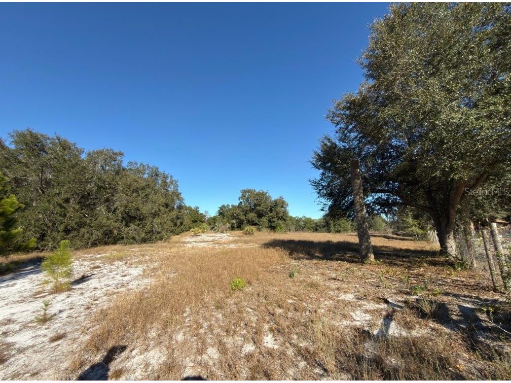 24939 County Road 33 Groveland FL 34736 G5105952 image11