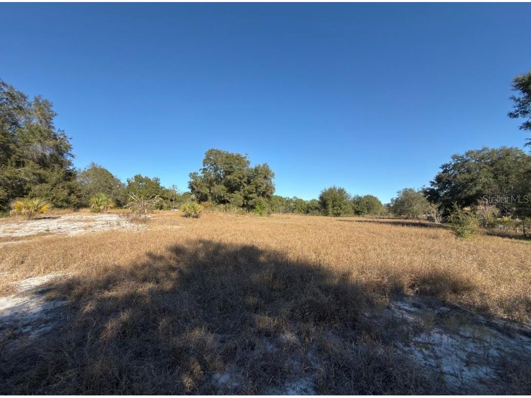 24939 County Road 33 Groveland FL 34736 G5105952 image12