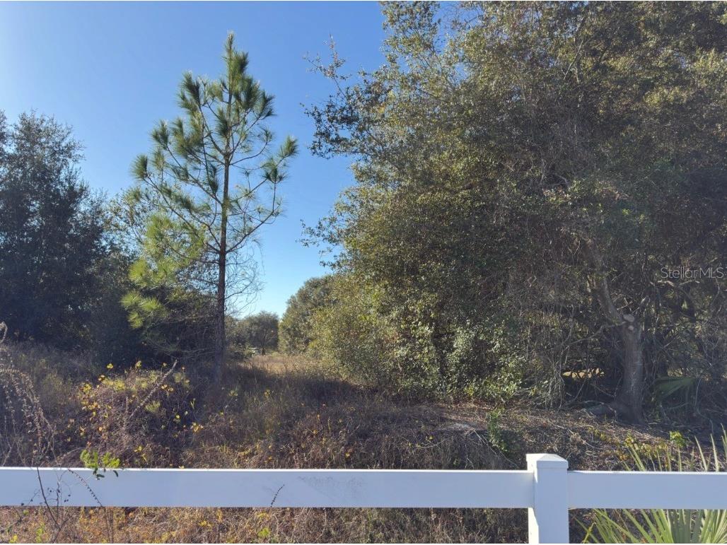 24939 County Road 33 Groveland FL 34736 G5105952 image15