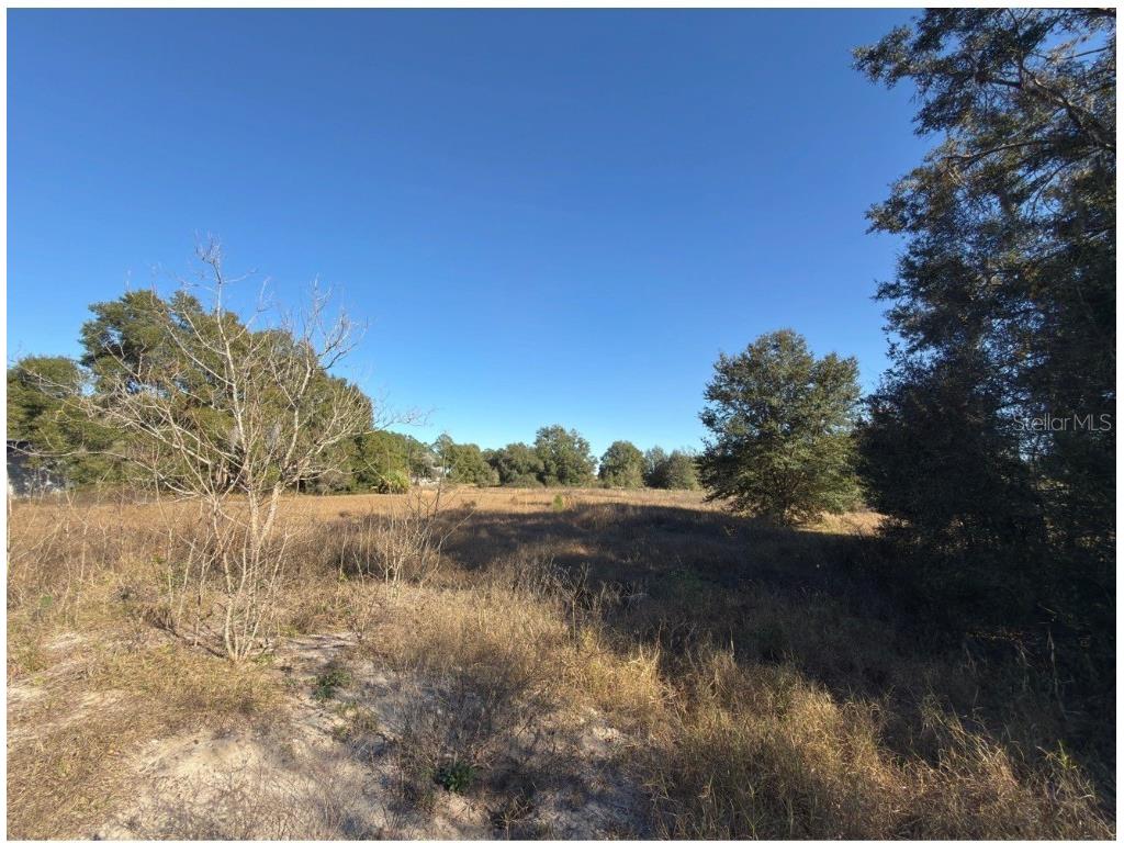 24939 County Road 33 Groveland FL 34736 G5105952 image18