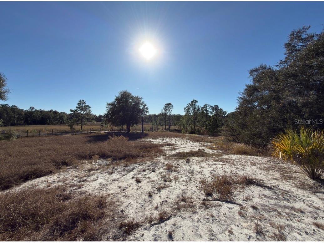 24939 County Road 33 Groveland FL 34736 G5105952 image22