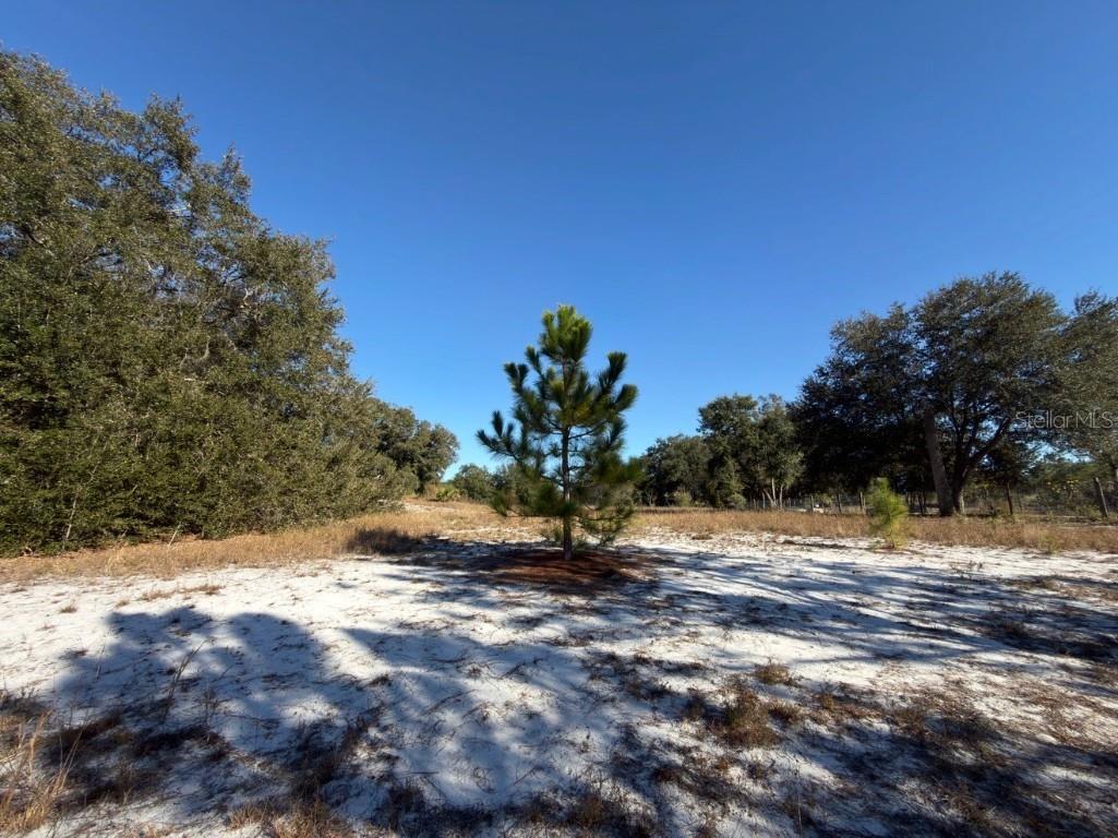 24939 County Road 33 Groveland FL 34736 G5105952 image23