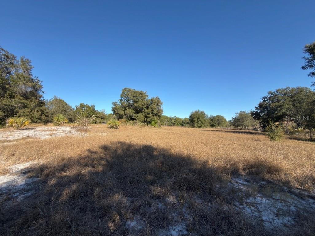24939 County Road 33 Groveland FL 34736 G5105952 image26