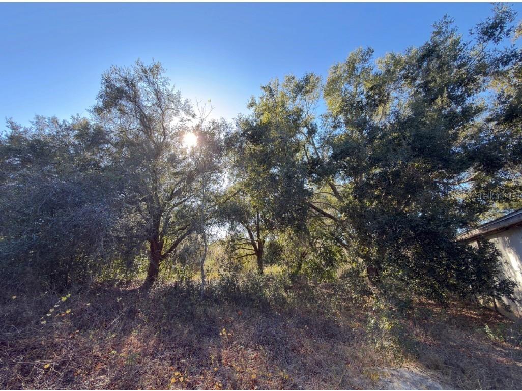 24939 County Road 33 Groveland FL 34736 G5105952 image29