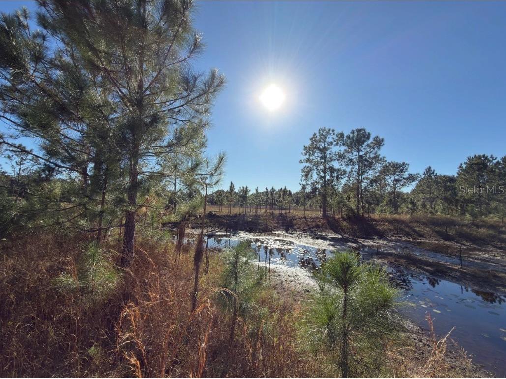 24939 County Road 33 Groveland FL 34736 G5105952 image30