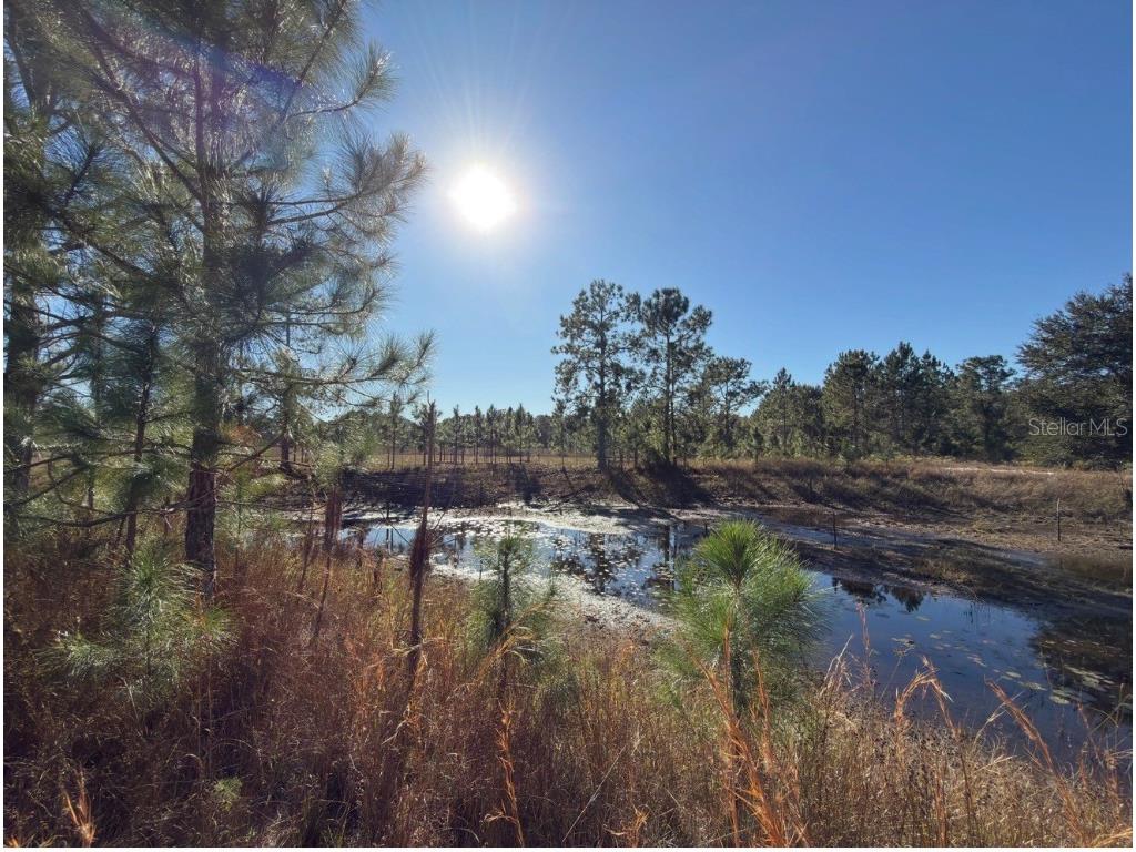 24939 County Road 33 Groveland FL 34736 G5105952 image31