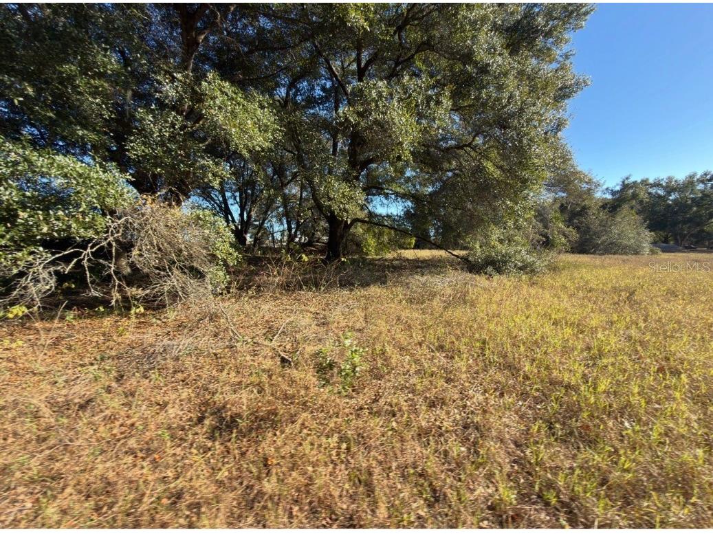 24939 County Road 33 Groveland FL 34736 G5105952 image33