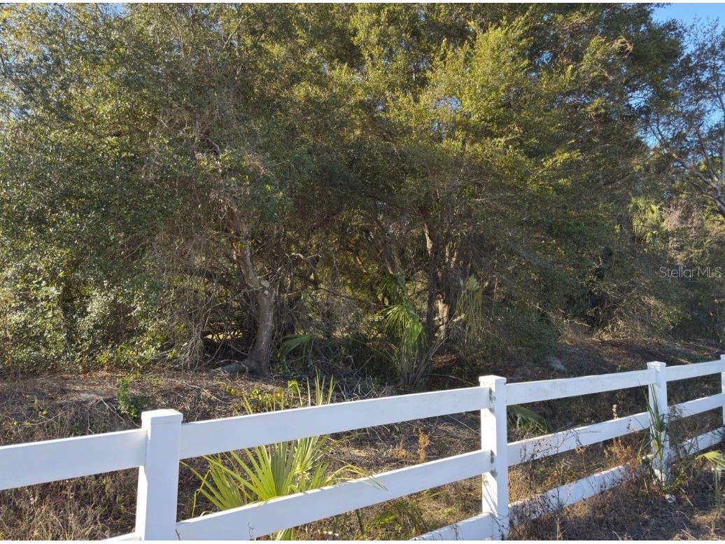 24939 County Road 33 Groveland FL 34736 G5105952 image35