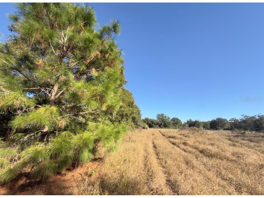 24939 County Road 33 Groveland FL 34736 G5105952 image4