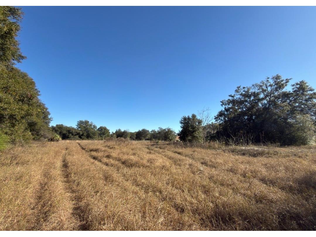 24939 County Road 33 Groveland FL 34736 G5105952 image5