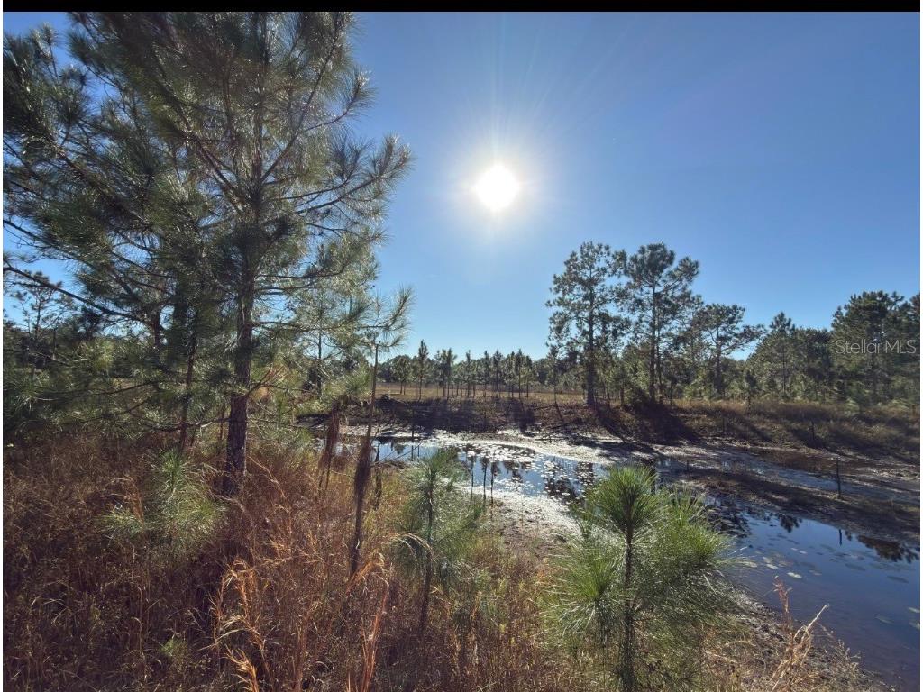 24939 County Road 33 Groveland FL 34736 G5105952 image9