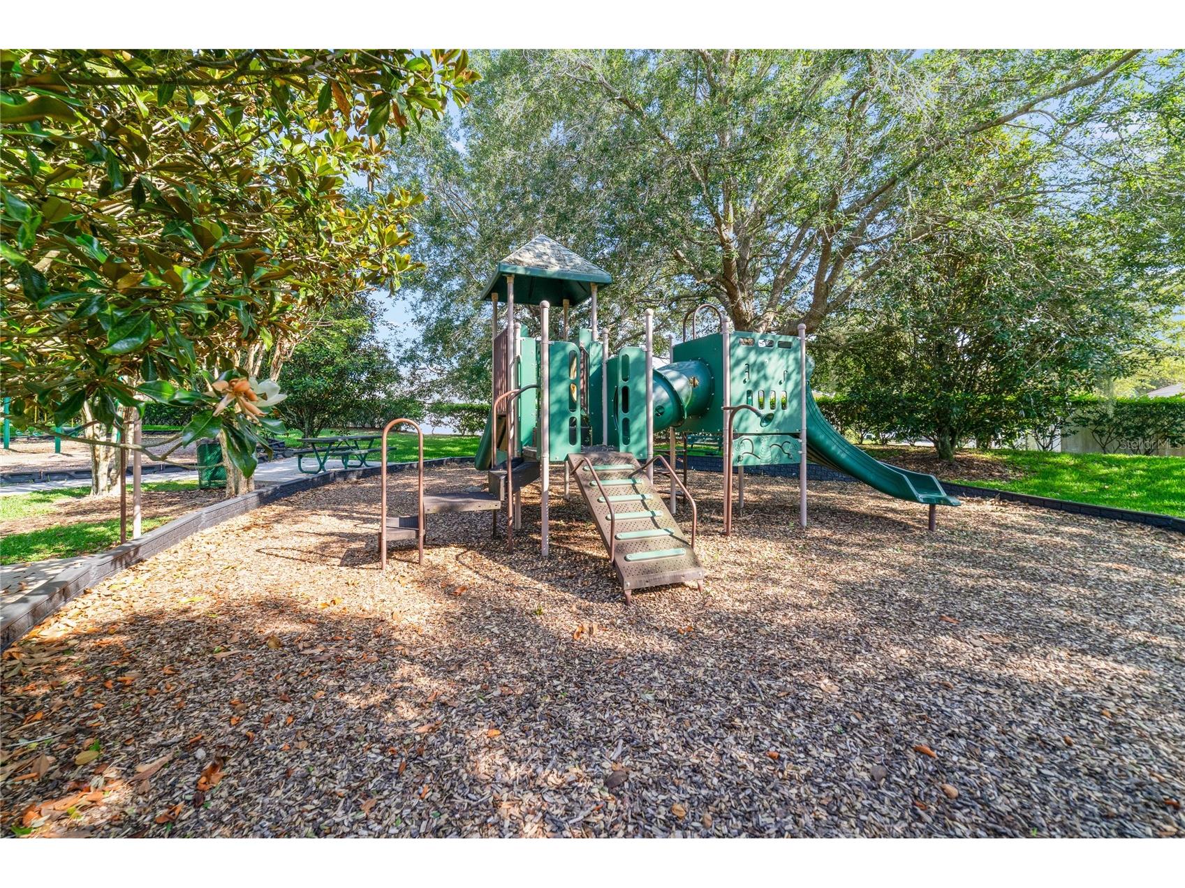 2494 Flatwood Court Apopka FL 32712 O6399563 image31
