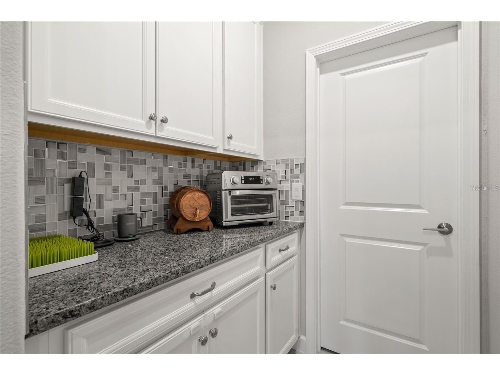 24941 Lambrusco Loop Lutz FL 33559 TB8482950 image10