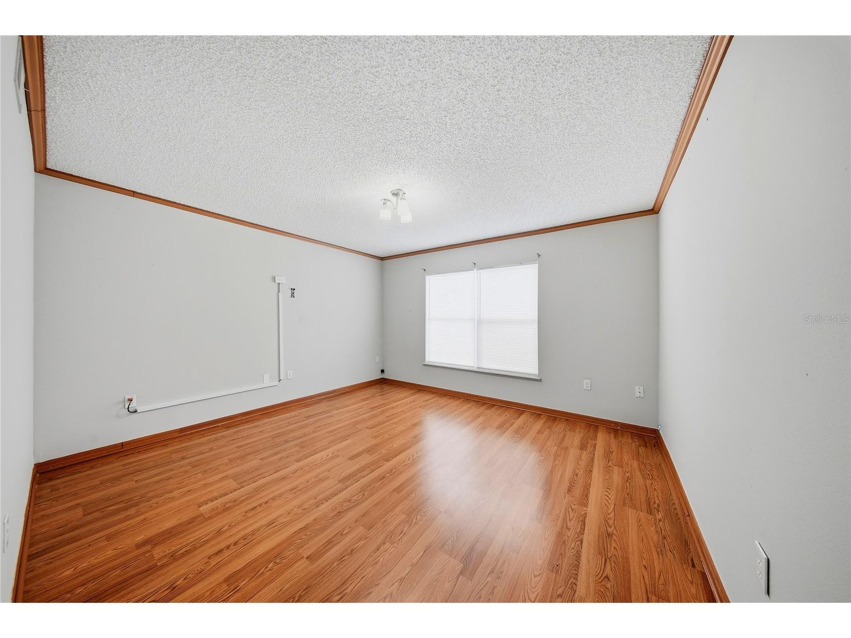 24945 Ravello Street Land O Lakes FL 34639 TB8512367 image33
