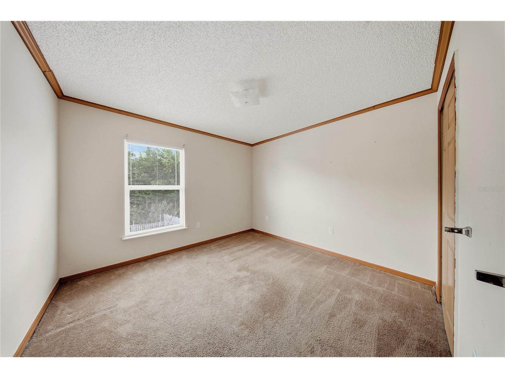 24945 Ravello Street Land O Lakes FL 34639 TB8512367 image35