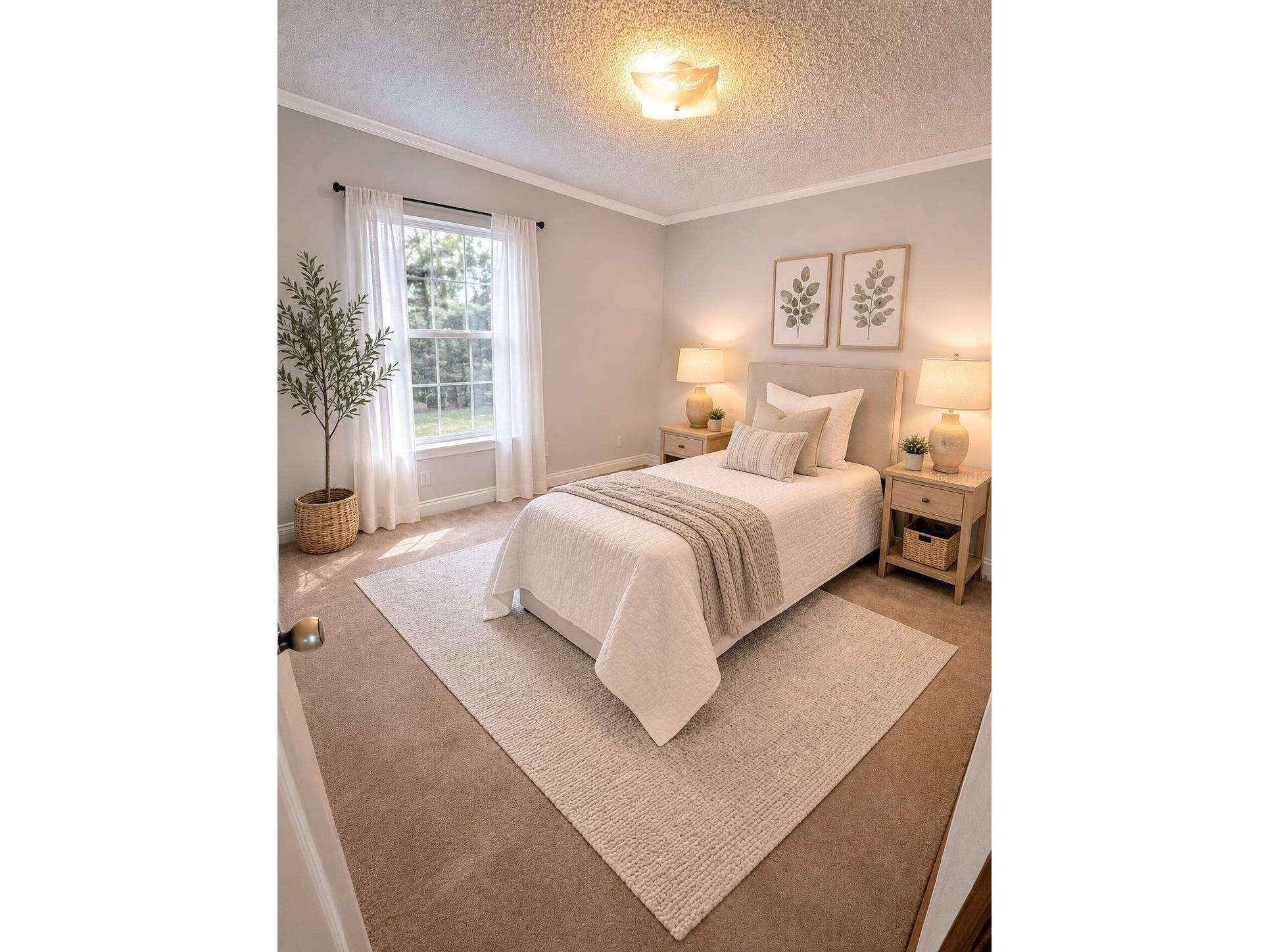 24945 Ravello Street Land O Lakes FL 34639 TB8512367 image36