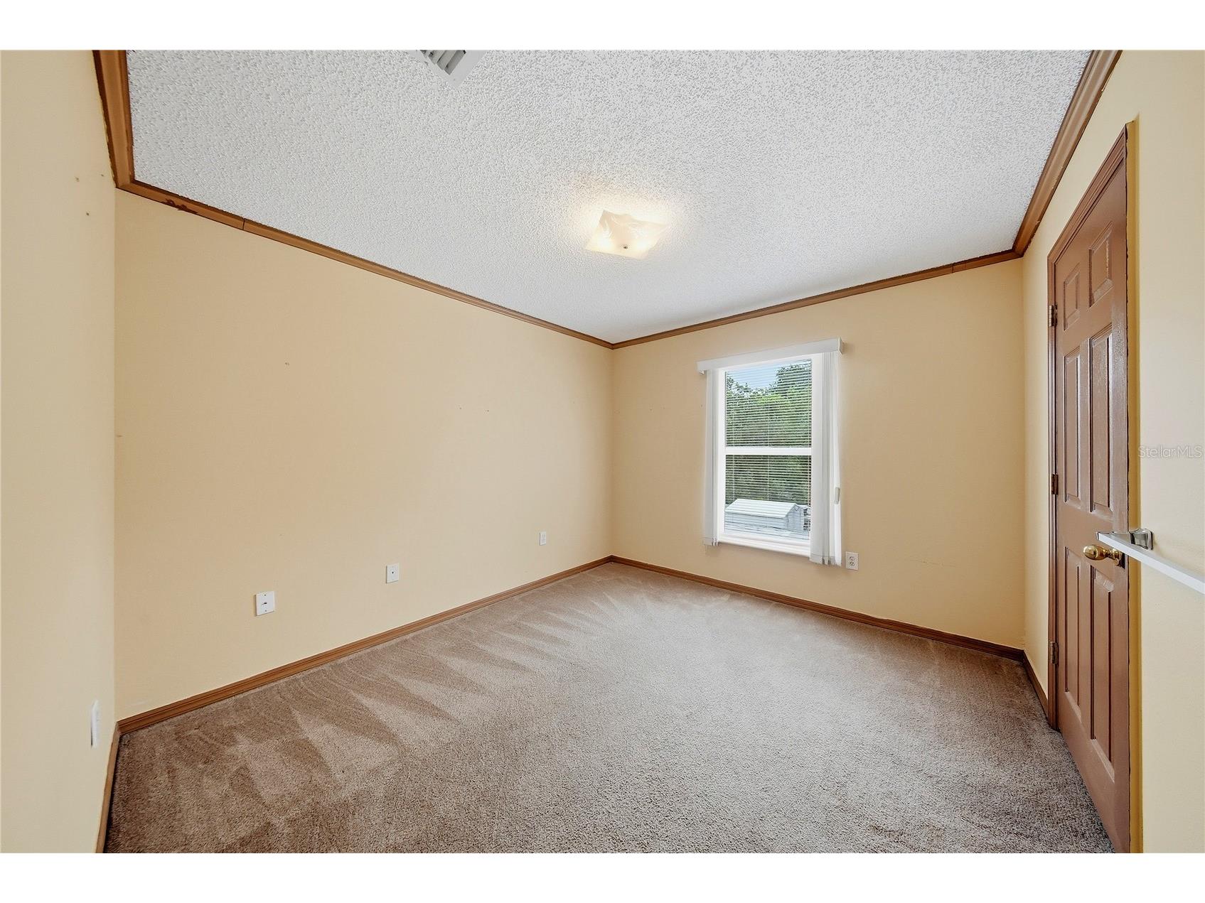 24945 Ravello Street Land O Lakes FL 34639 TB8512367 image40