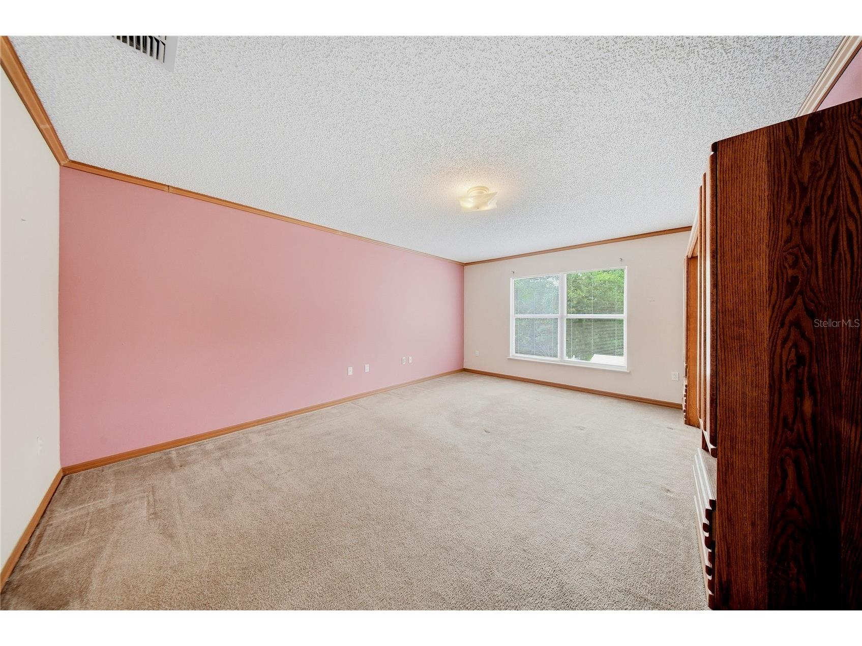 24945 Ravello Street Land O Lakes FL 34639 TB8512367 image42