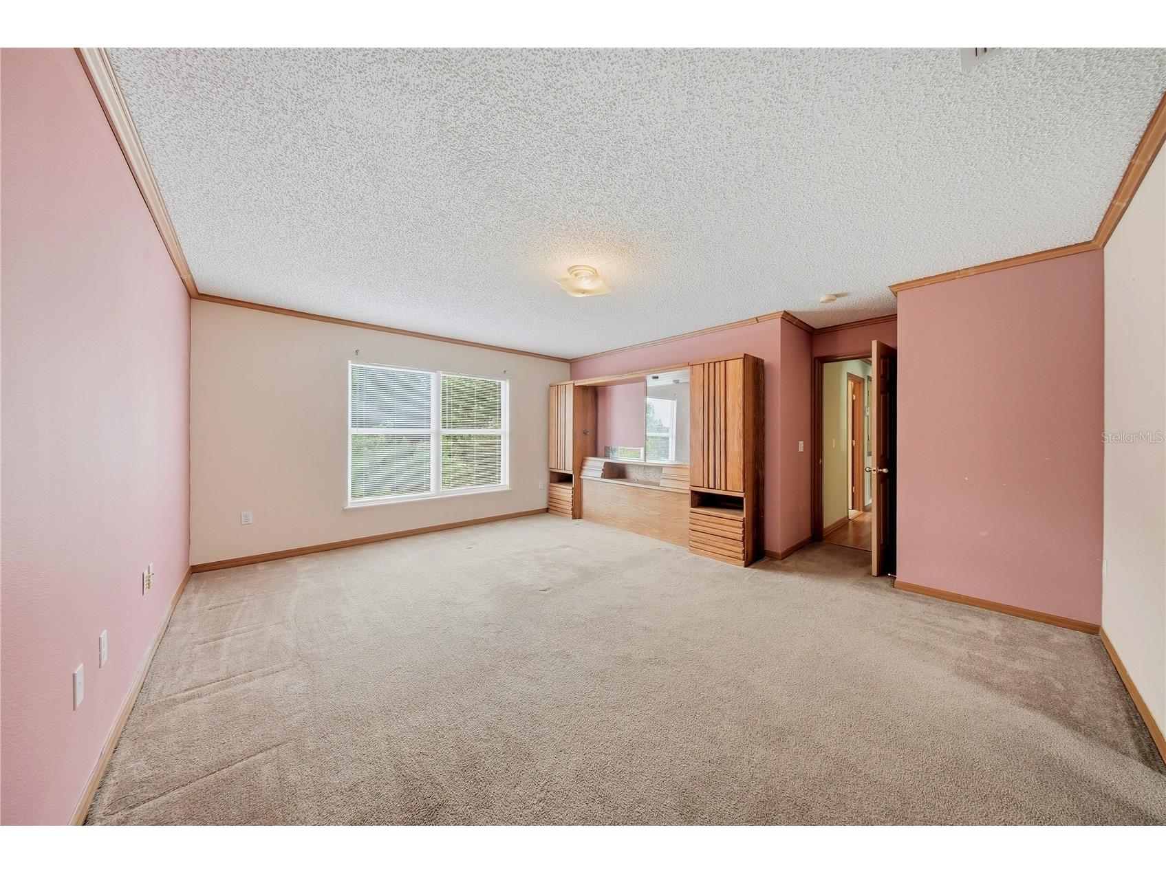 24945 Ravello Street Land O Lakes FL 34639 TB8512367 image44