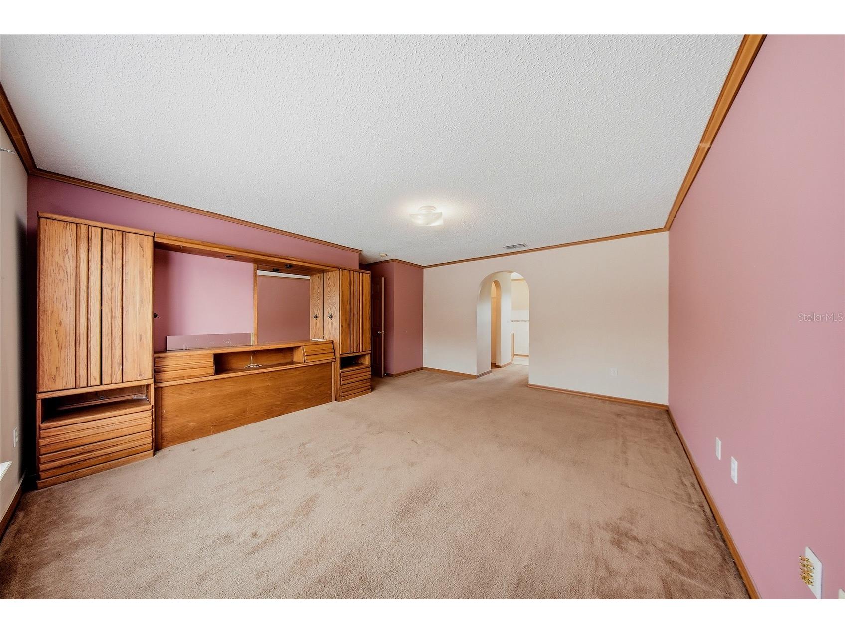 24945 Ravello Street Land O Lakes FL 34639 TB8512367 image45