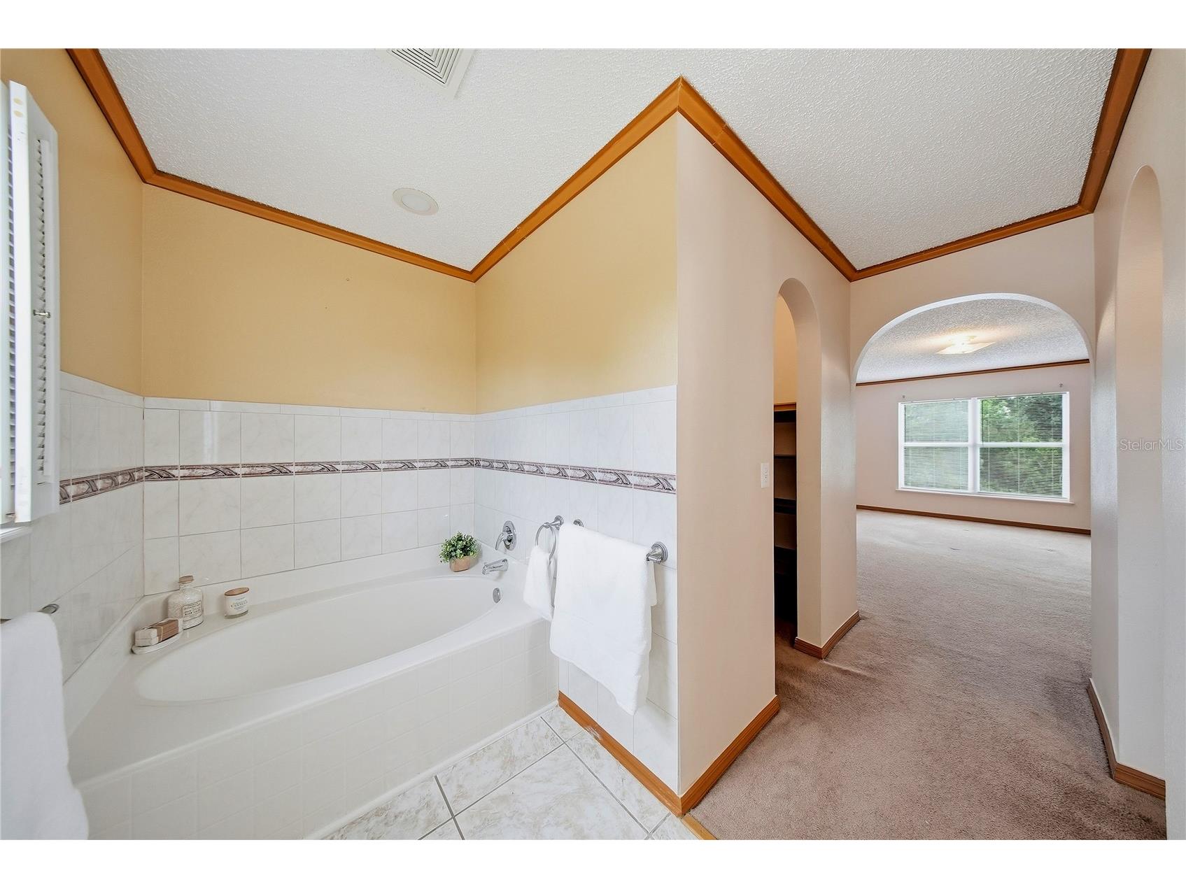 24945 Ravello Street Land O Lakes FL 34639 TB8512367 image52