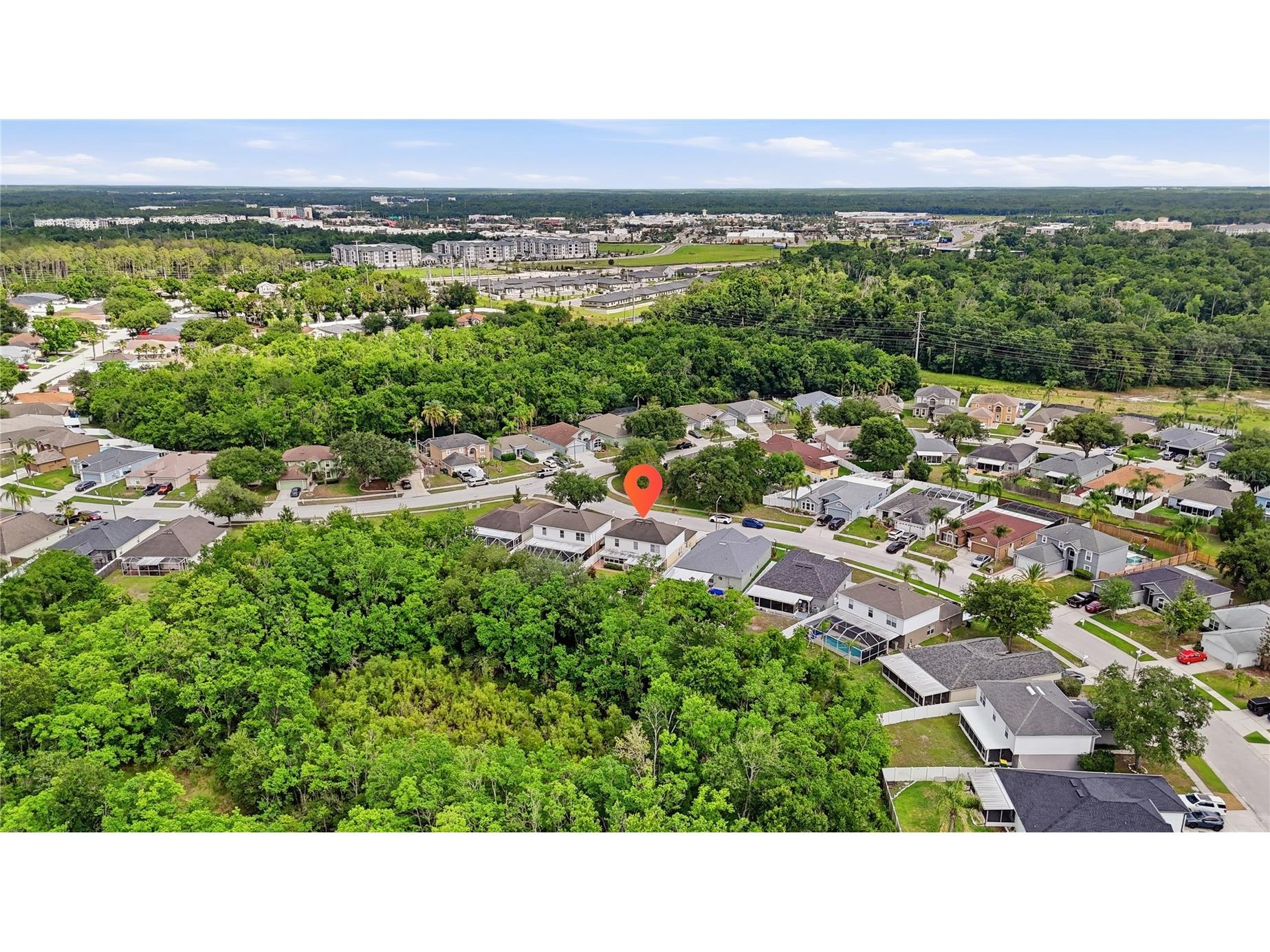 24945 Ravello Street Land O Lakes FL 34639 TB8512367 image7