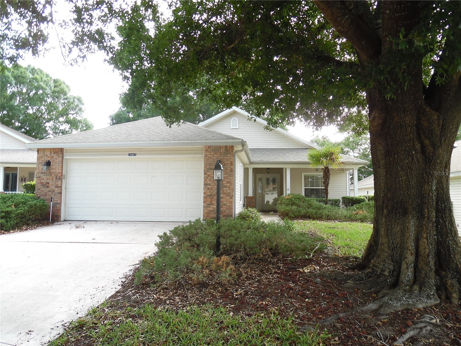 24947 Cranes Roost Circle Leesburg FL 34748 G5112244 image1