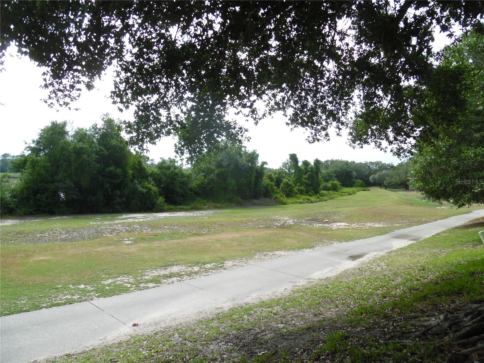 24947 Cranes Roost Circle Leesburg FL 34748 G5112244 image23