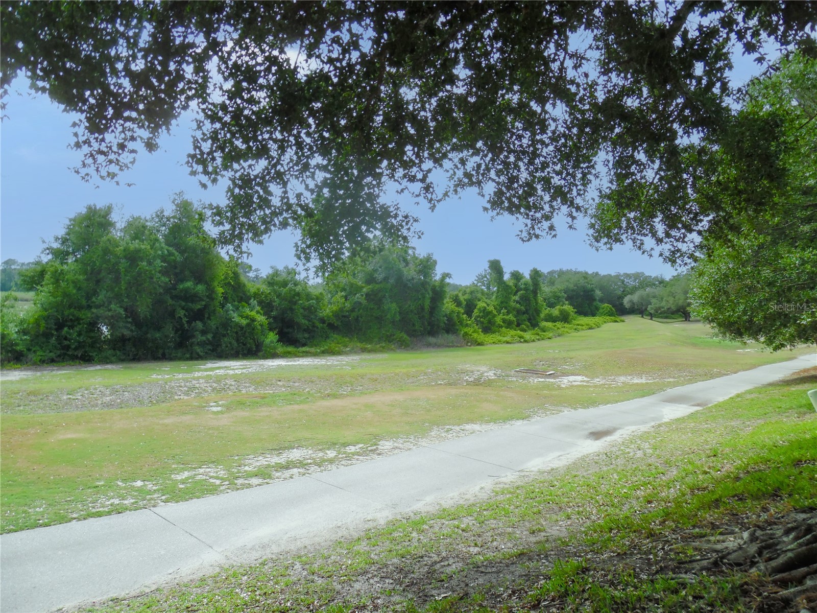 24947 Cranes Roost Circle Leesburg FL 34748 G5112244 image28