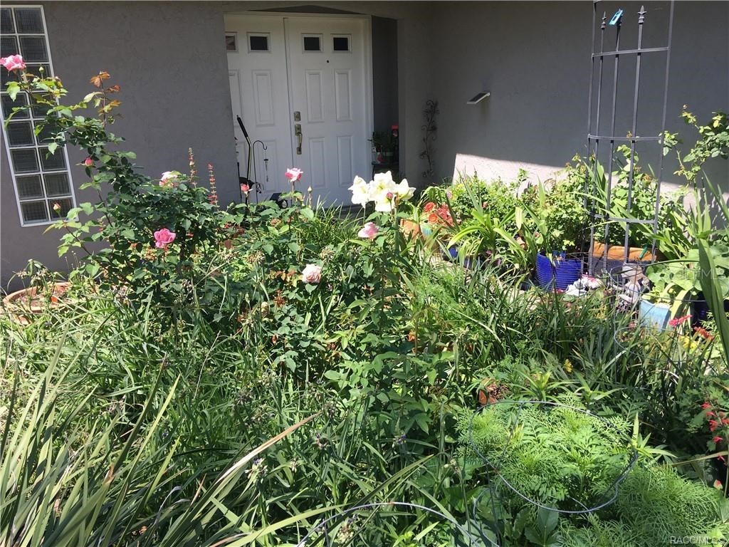 2495 Anchor Avenue Spring Hill FL 34608 T3426654 image1