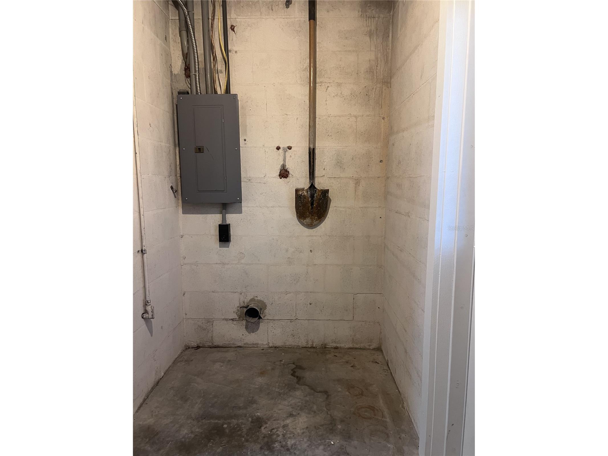 2495 Baywood Drive E Dunedin FL 34698 TB8482470 image9