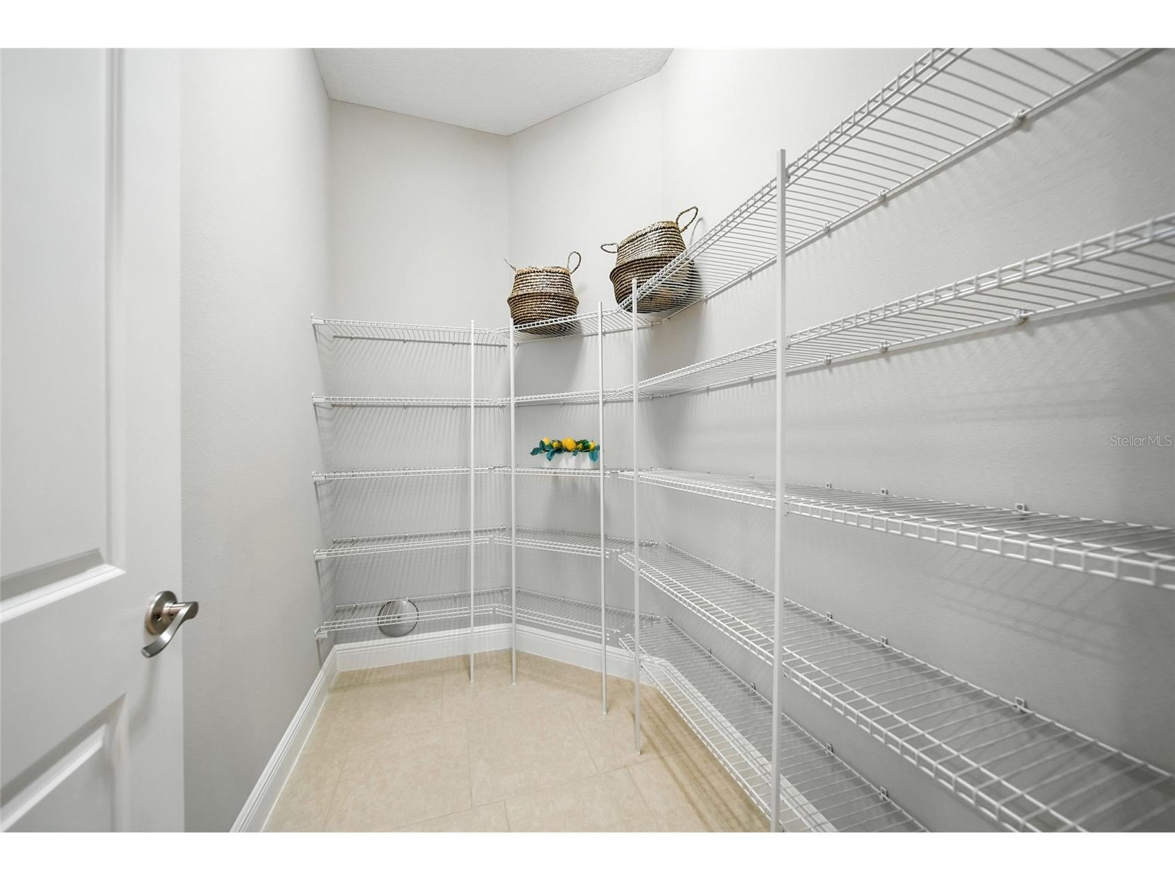 2495 Oakwood Preserve Drive Wesley Chapel FL 33543 TB8494998 image20