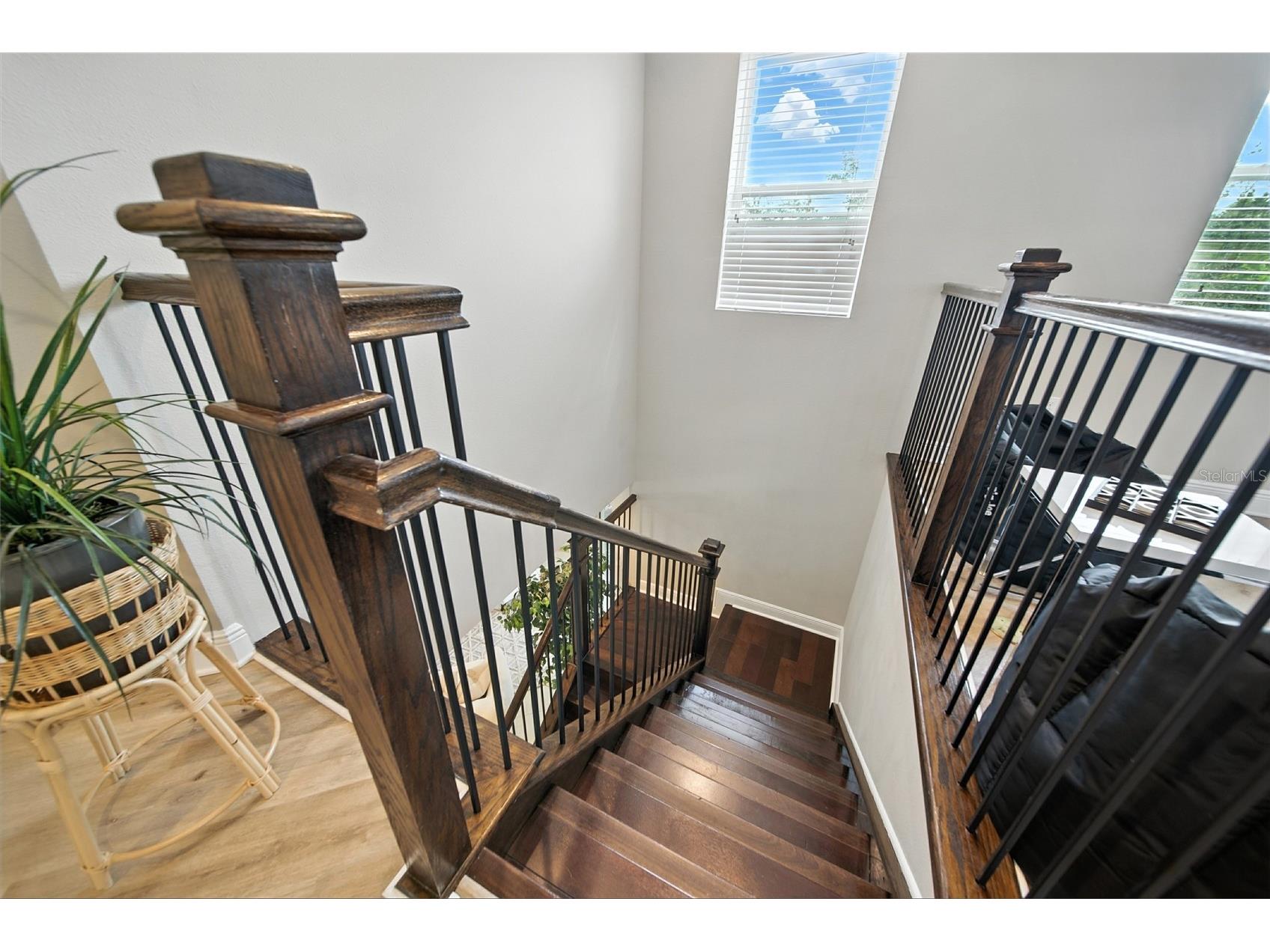 2495 Oakwood Preserve Drive Wesley Chapel FL 33543 TB8494998 image22