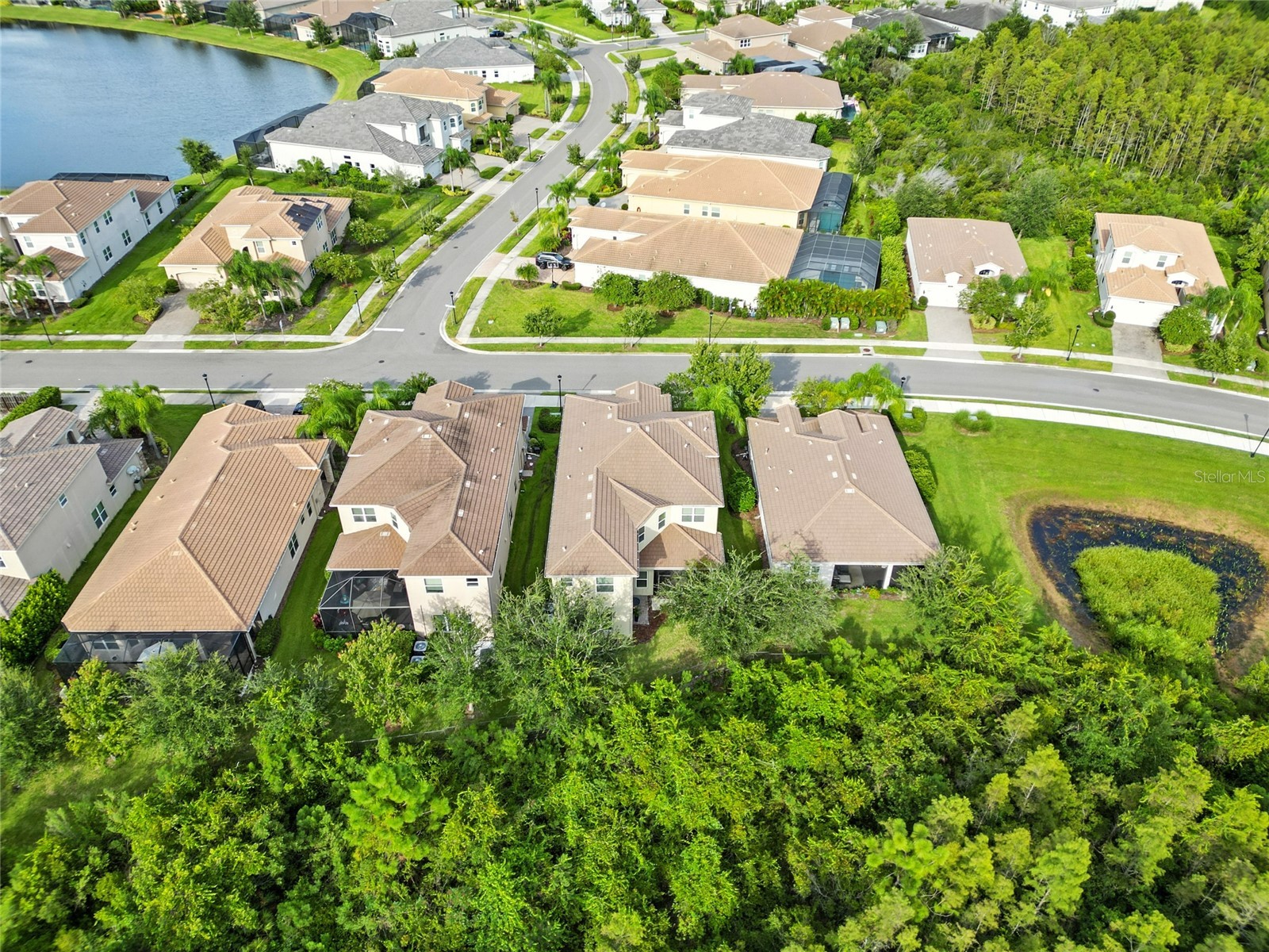 2495 Oakwood Preserve Drive Wesley Chapel FL 33543 TB8494998 image51