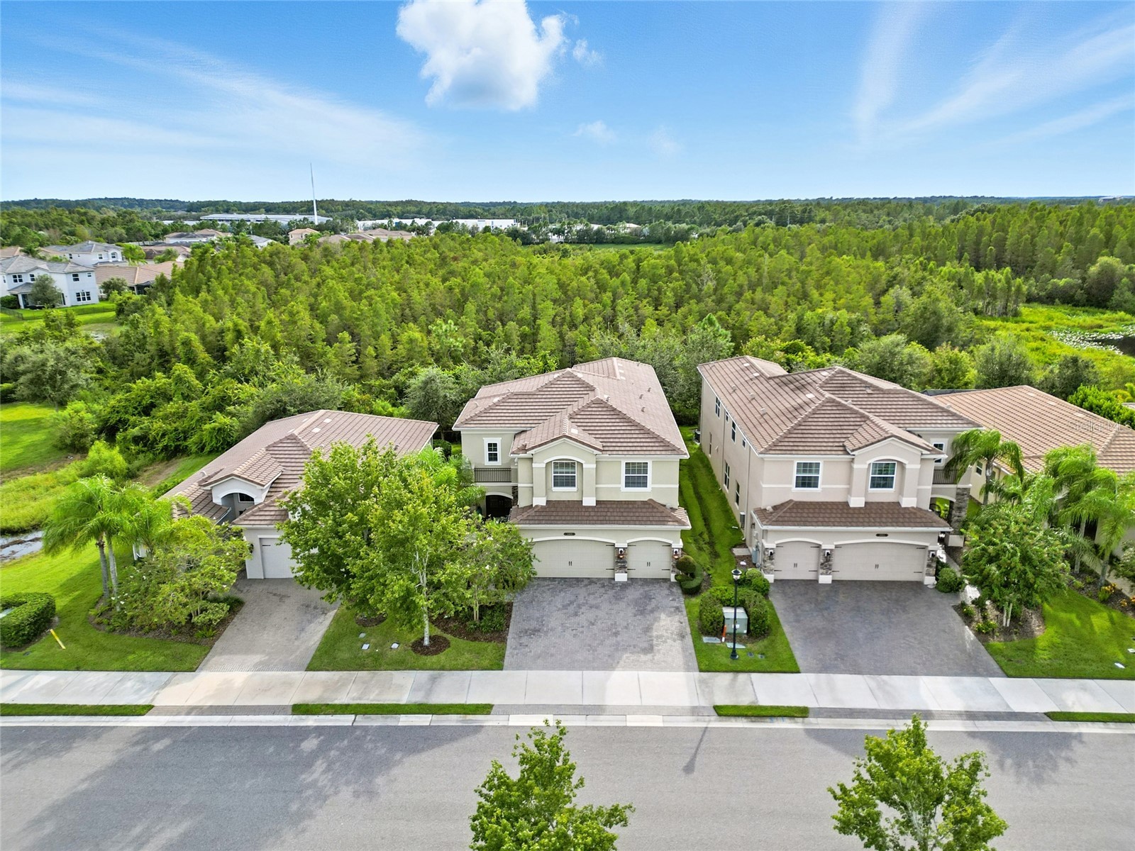 2495 Oakwood Preserve Drive Wesley Chapel FL 33543 TB8494998 image52