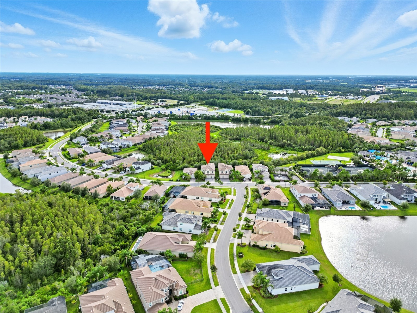 2495 Oakwood Preserve Drive Wesley Chapel FL 33543 TB8494998 image53