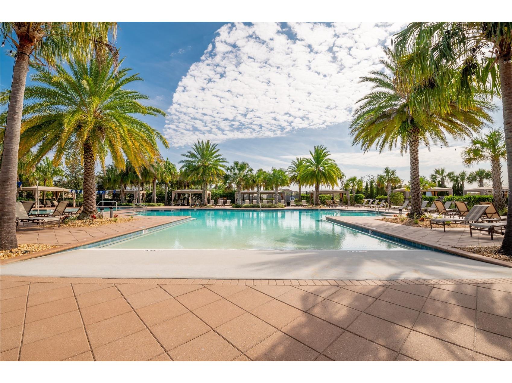 2495 Oakwood Preserve Drive Wesley Chapel FL 33543 TB8494998 image60