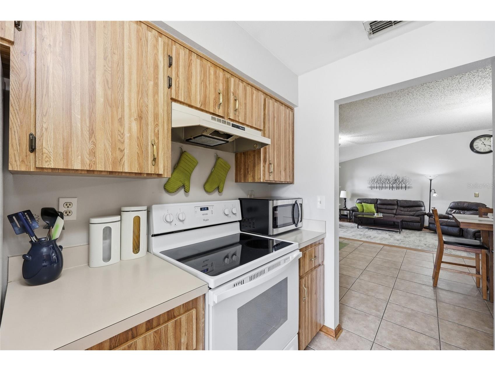 2495 Pine Chase Circle Saint Cloud FL 34769 S5150662 image13