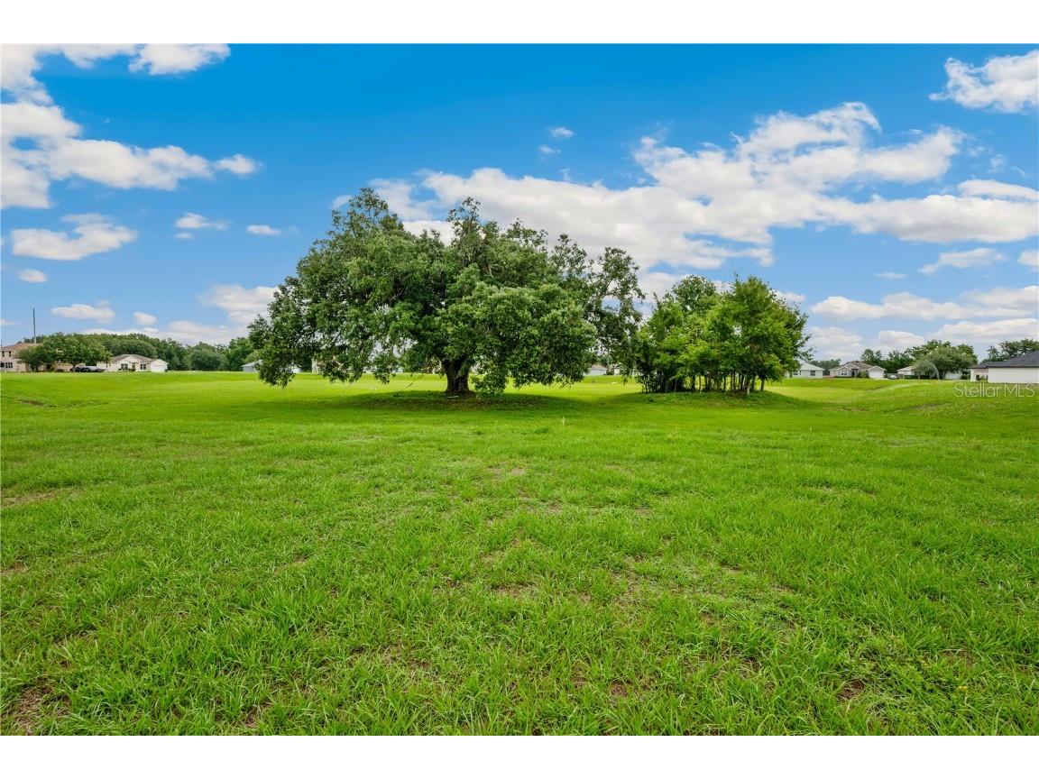 2495 SE 75th Boulevard Bushnell FL 33513 G5098041 image5