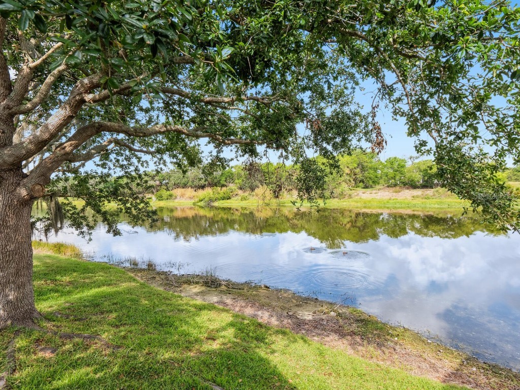 2496 Farms Court Sarasota FL 34240 A4652377 image39