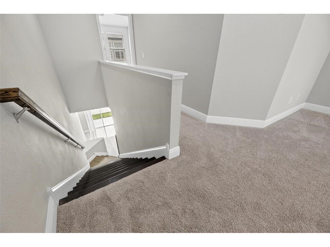 2497 Foggy Creek Circle Clearwater FL 33764 TB8433097 image26