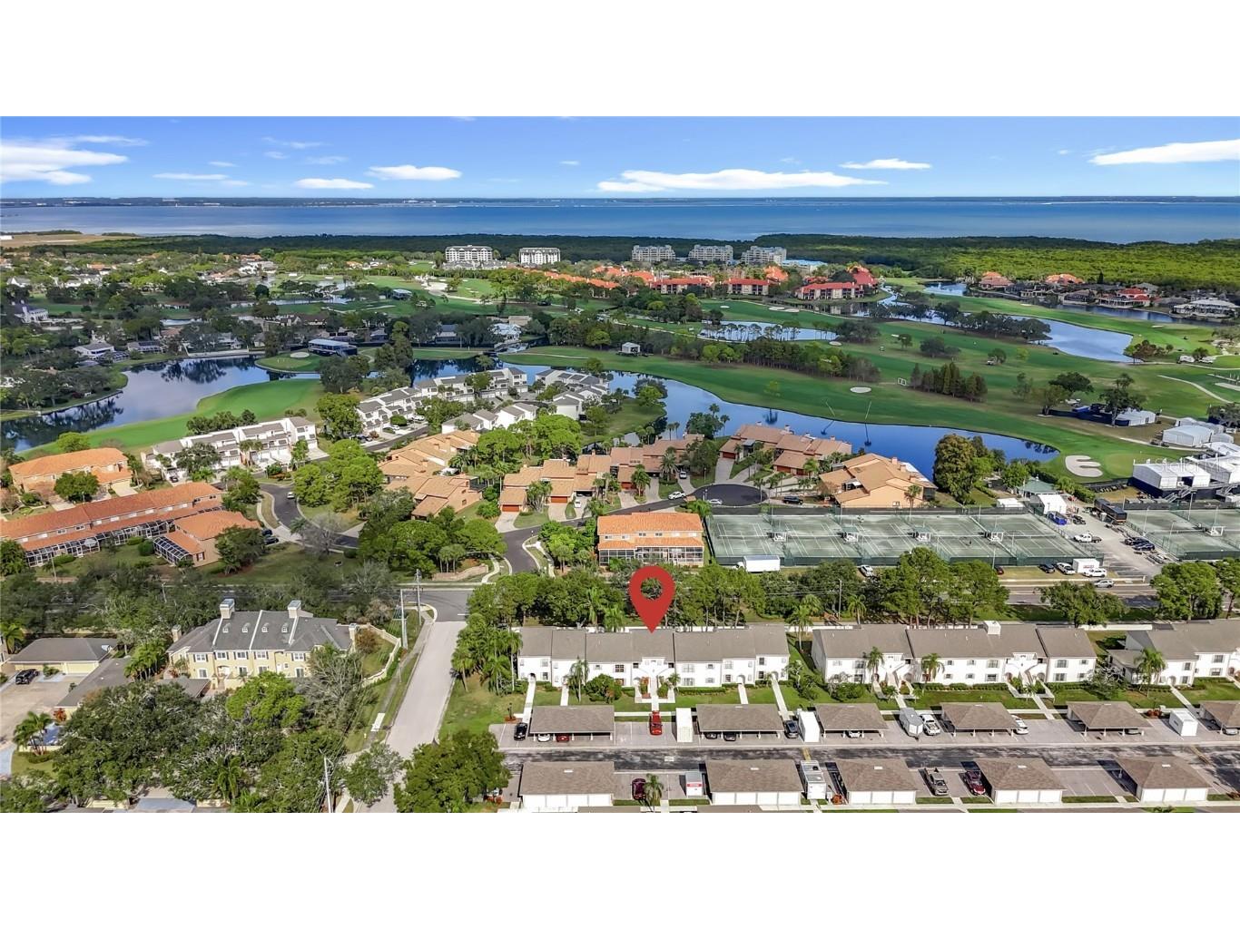 2497 Heron Terrace #203C Clearwater FL 33762 TB8451214 image2