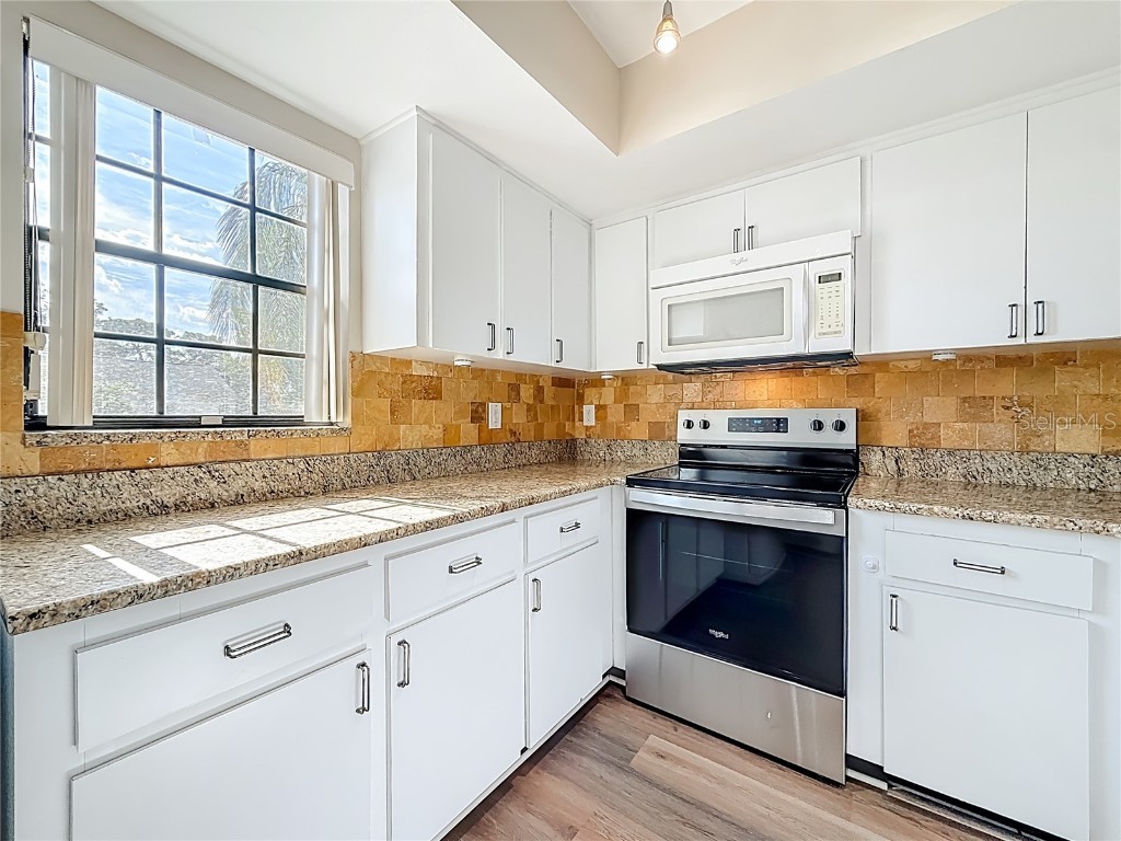 2497 Heron Terrace #203C Clearwater FL 33762 TB8451214 image30